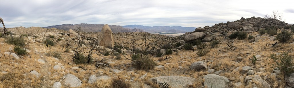 Pinyon Ridge Panorama