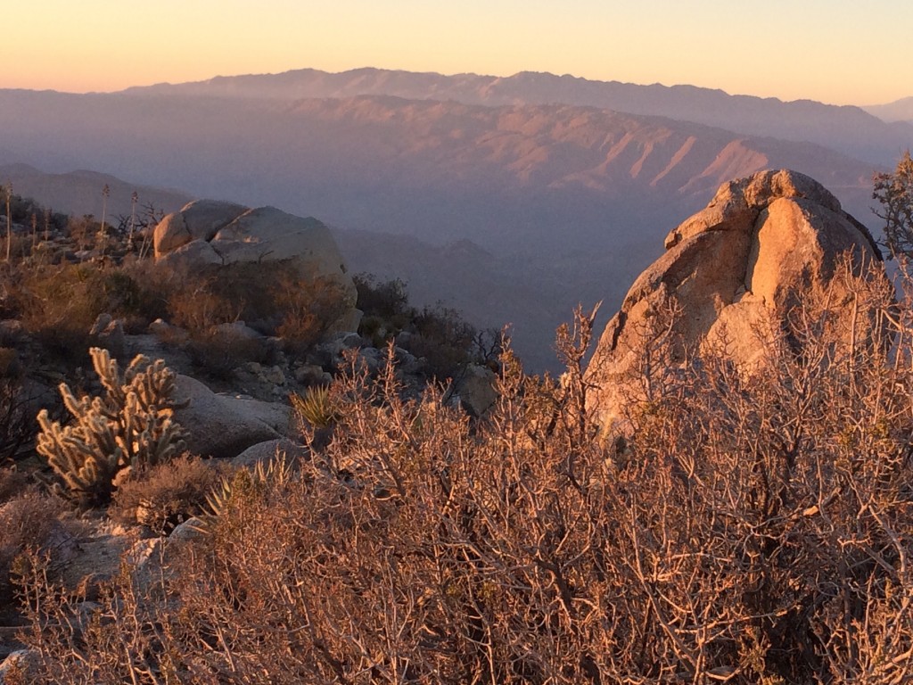 Pinyon Mountain via Bighorn Canyon Loop Vista Seeker